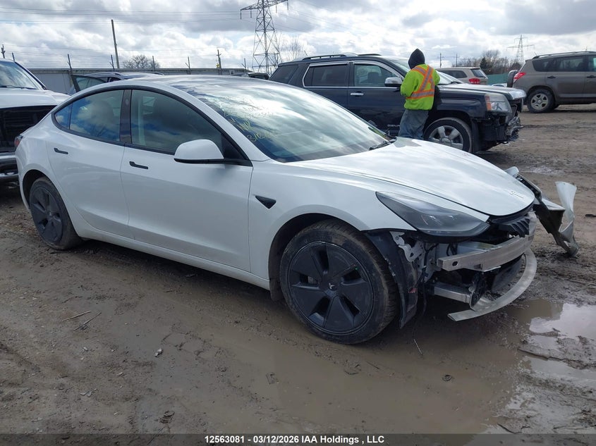 Vin: 5yj3e1ea4pf502382, lot: 2956444, tesla model 3 2023 img_1
