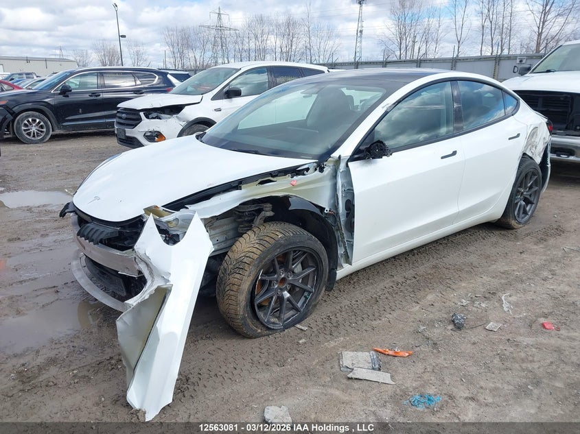 Vin: 5yj3e1ea4pf502382, lot: 2956444, tesla model 3 20232