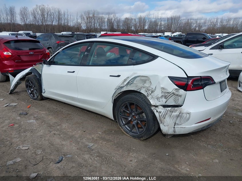 Vin: 5yj3e1ea4pf502382, lot: 2956444, tesla model 3 20233