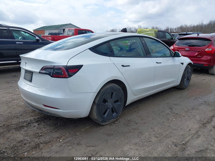 Vin: 5yj3e1ea4pf502382, lot: 2956444, tesla model 3 20234