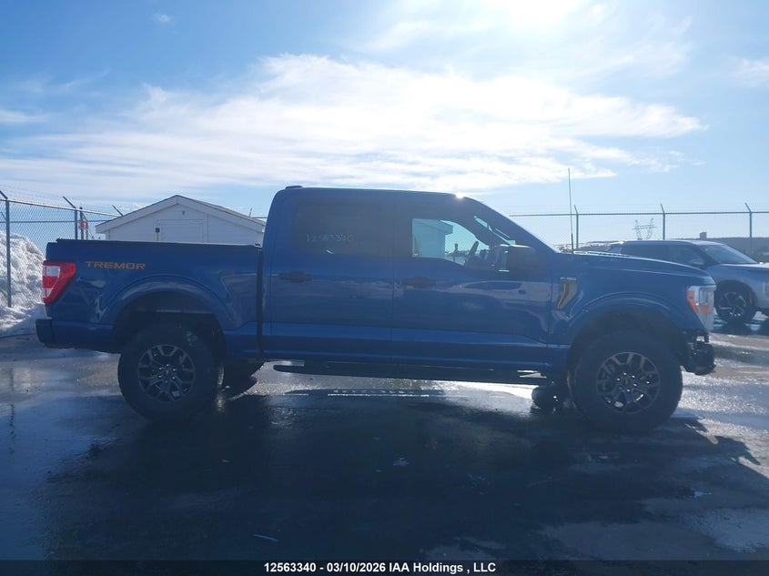 2022 Ford F-150 King Ranch/Lariat/Limited/Platinum/Tremor/Xl/Xlt VIN: 1FTEW1E89NFC14689 Lot: 12563340