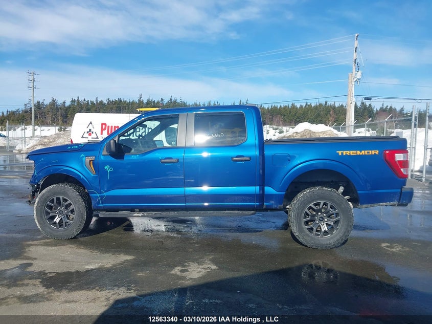 2022 Ford F-150 King Ranch/Lariat/Limited/Platinum/Tremor/Xl/Xlt VIN: 1FTEW1E89NFC14689 Lot: 12563340