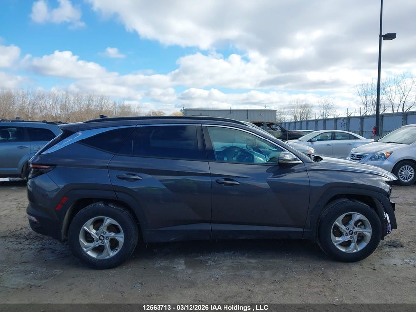 2022 Hyundai Tucson Preferred Awd With Trend Package VIN: KM8JCCAEXNU162303 Lot: 12563713