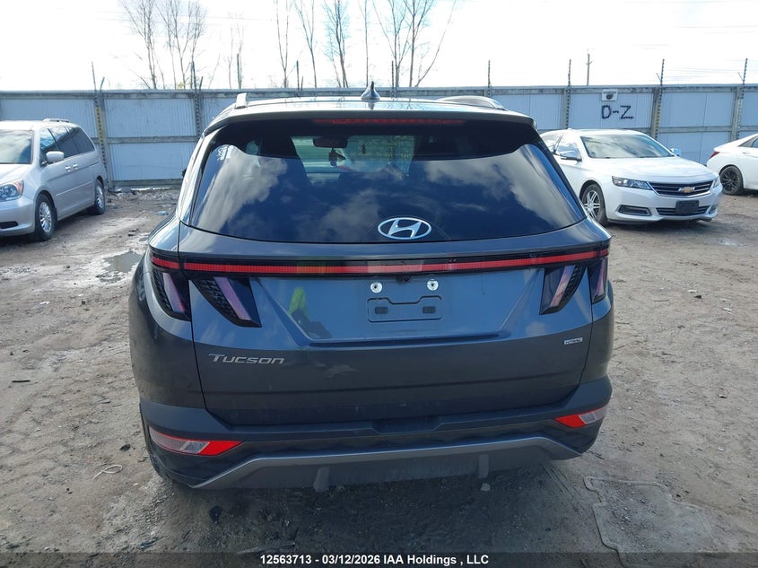2022 Hyundai Tucson Preferred Awd With Trend Package VIN: KM8JCCAEXNU162303 Lot: 12563713