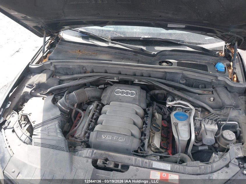 2010 Audi Q5 Premium Plus VIN: WA1LKCFP3AA028362 Lot: 12564136