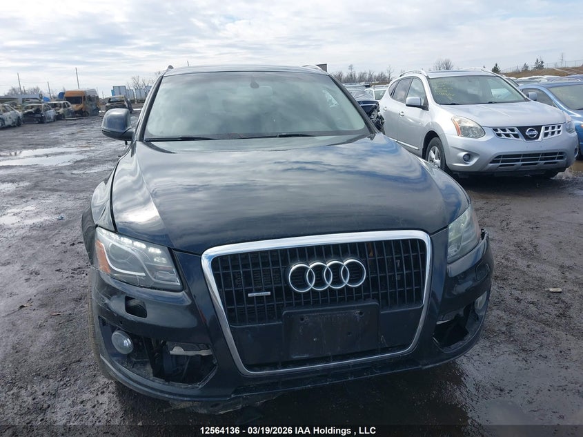 2010 Audi Q5 Premium Plus VIN: WA1LKCFP3AA028362 Lot: 12564136