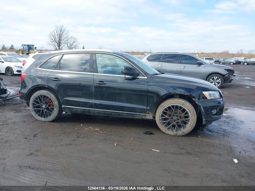 2010 Audi Q5 Premium Plus VIN: WA1LKCFP3AA028362 Lot: 12564136