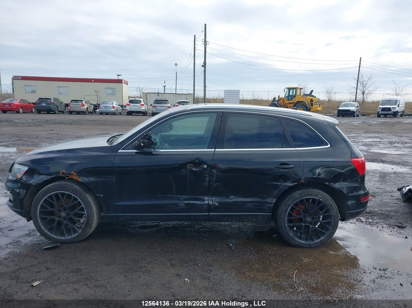 2010 Audi Q5 Premium Plus VIN: WA1LKCFP3AA028362 Lot: 12564136