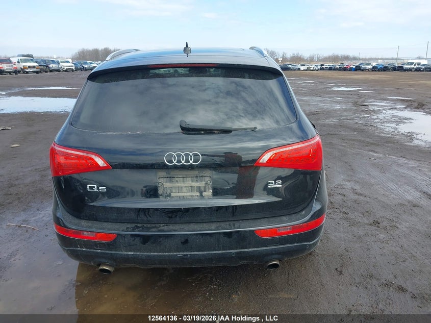 2010 Audi Q5 Premium Plus VIN: WA1LKCFP3AA028362 Lot: 12564136