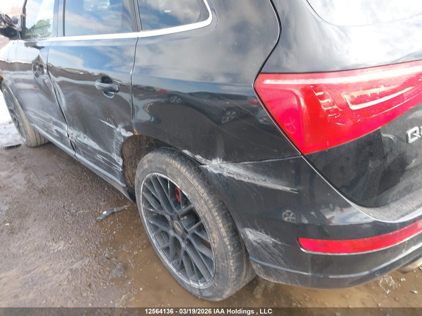 2010 Audi Q5 Premium Plus VIN: WA1LKCFP3AA028362 Lot: 12564136