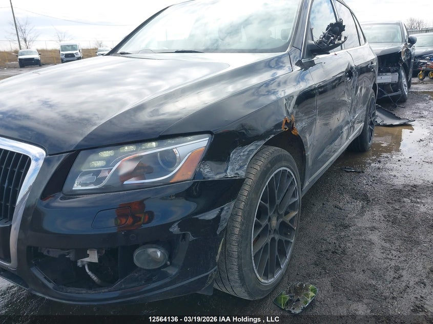 2010 Audi Q5 Premium Plus VIN: WA1LKCFP3AA028362 Lot: 12564136