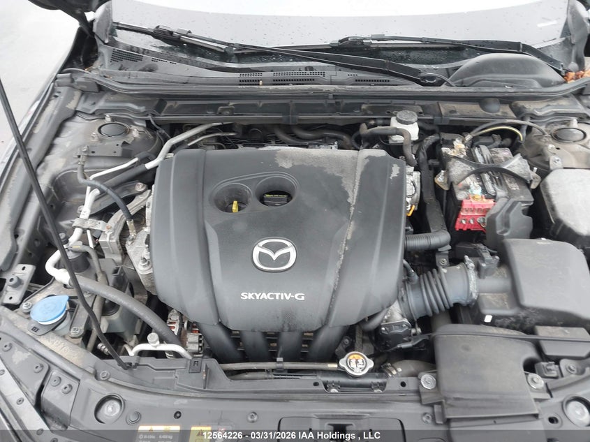 2019 Mazda Mazda3 Gs VIN: JM1BPBCMXK1126734 Lot: 12564226