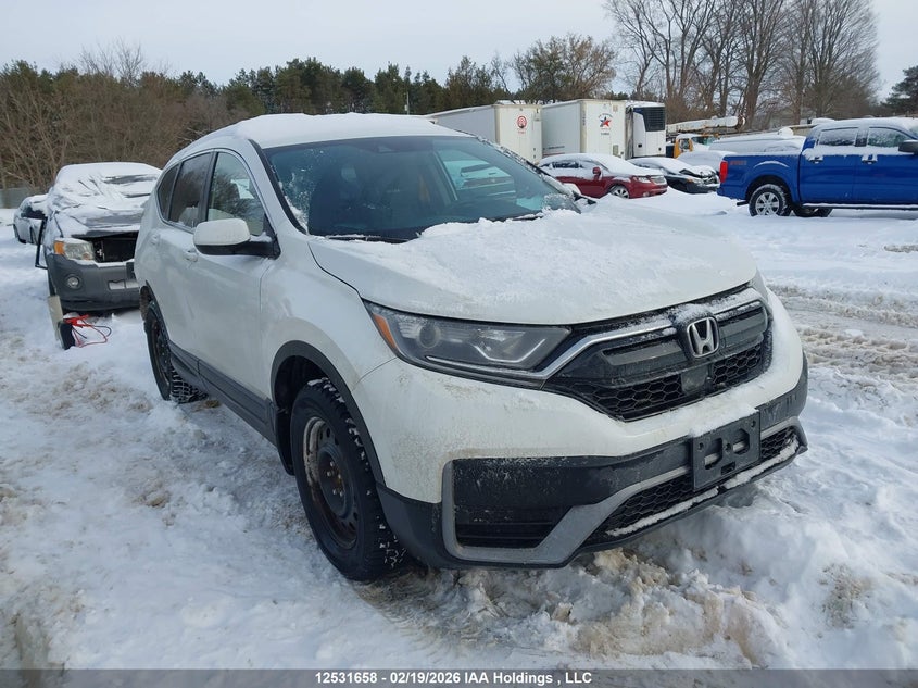 2HKRW2H29LH219148 2020 Honda Cr-V Lx auction photo 1