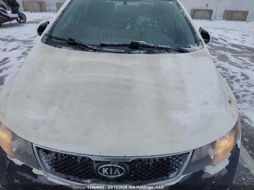 2010 Kia Forte Sx VIN: KNAFW4A36A5213688 Lot: 12564662