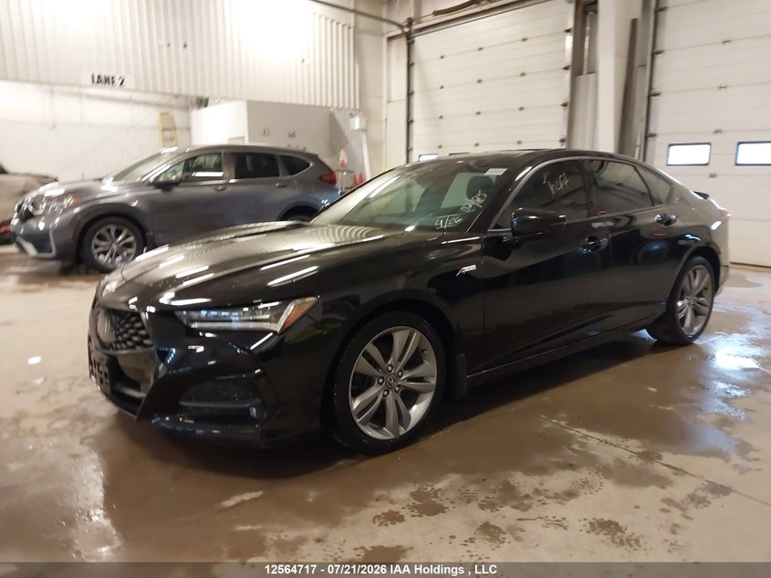 Vin: 19uub6f59ma802551, lot: 2958254, acura tlx a-spec 20212