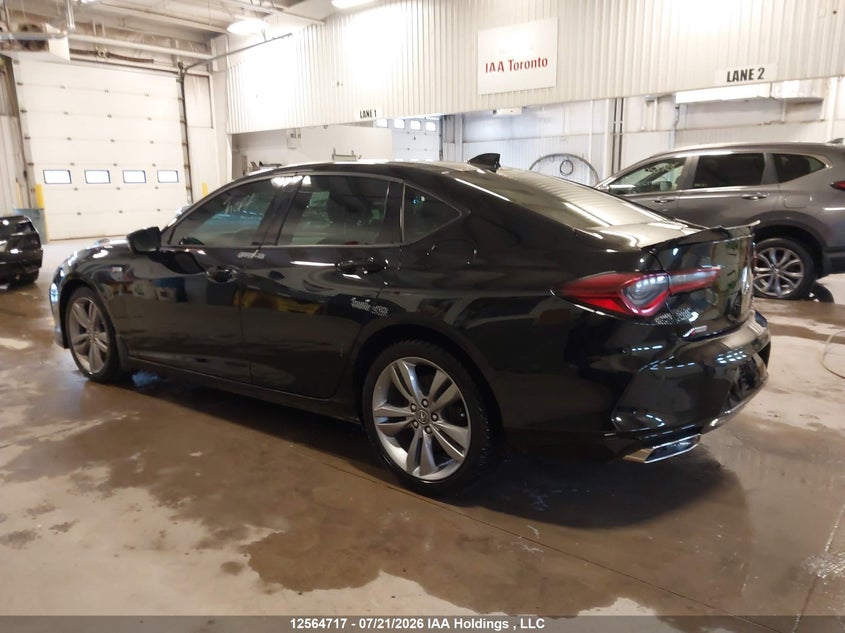 Vin: 19uub6f59ma802551, lot: 2958254, acura tlx a-spec 20213