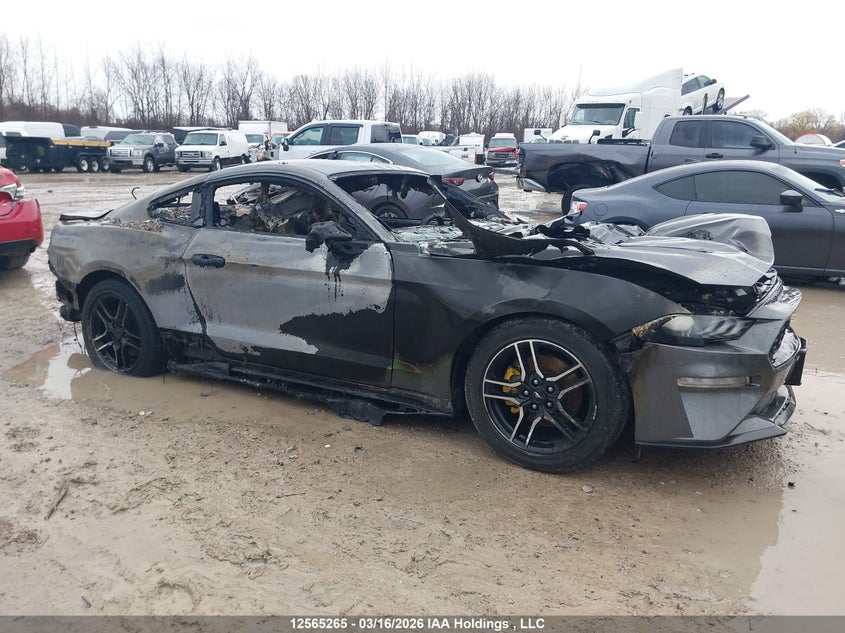 Vin: 1fa6p8th0m5130185, lot: 2958894, ford mustang ecoboost 2021 img_1