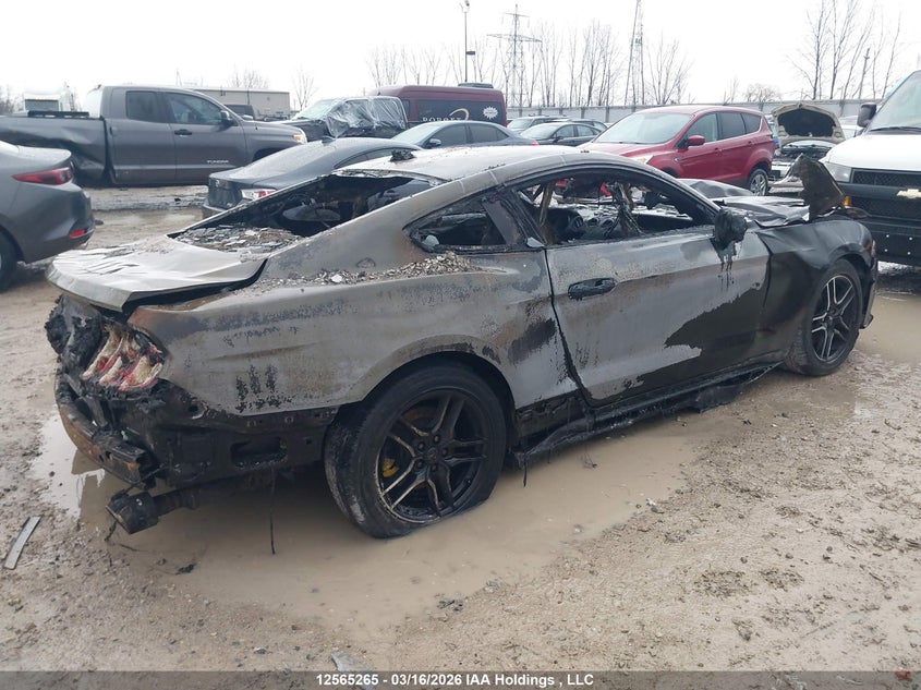 Vin: 1fa6p8th0m5130185, lot: 2958894, ford mustang ecoboost 20214