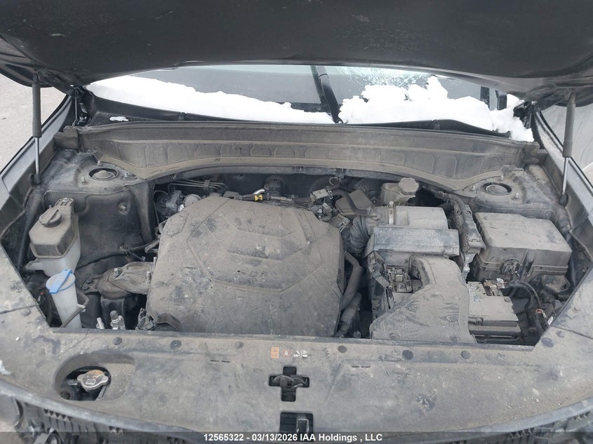 2023 Kia Telluride Sx/Sx Limited/X-Line/X-Pro VIN: 5XYP5DGC9PG395632 Lot: 12565322