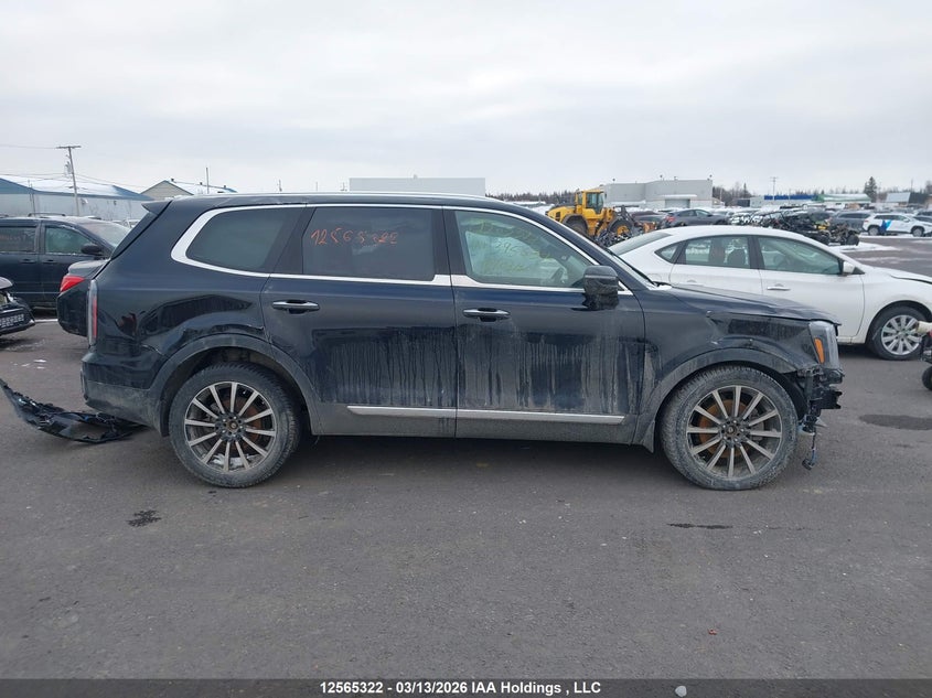 2023 Kia Telluride Sx/Sx Limited/X-Line/X-Pro VIN: 5XYP5DGC9PG395632 Lot: 12565322