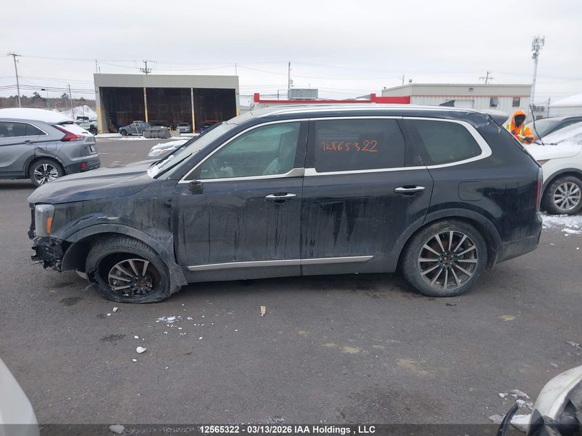 2023 Kia Telluride Sx/Sx Limited/X-Line/X-Pro VIN: 5XYP5DGC9PG395632 Lot: 12565322