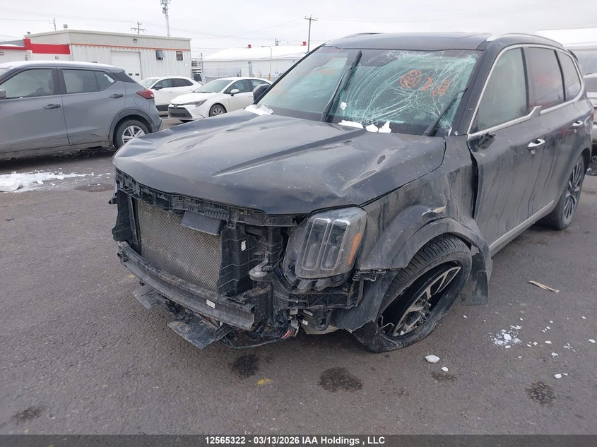 2023 Kia Telluride Sx/Sx Limited/X-Line/X-Pro VIN: 5XYP5DGC9PG395632 Lot: 12565322
