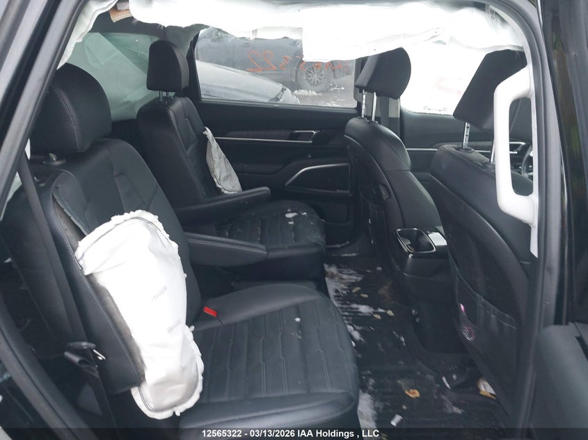 2023 Kia Telluride Sx/Sx Limited/X-Line/X-Pro VIN: 5XYP5DGC9PG395632 Lot: 12565322