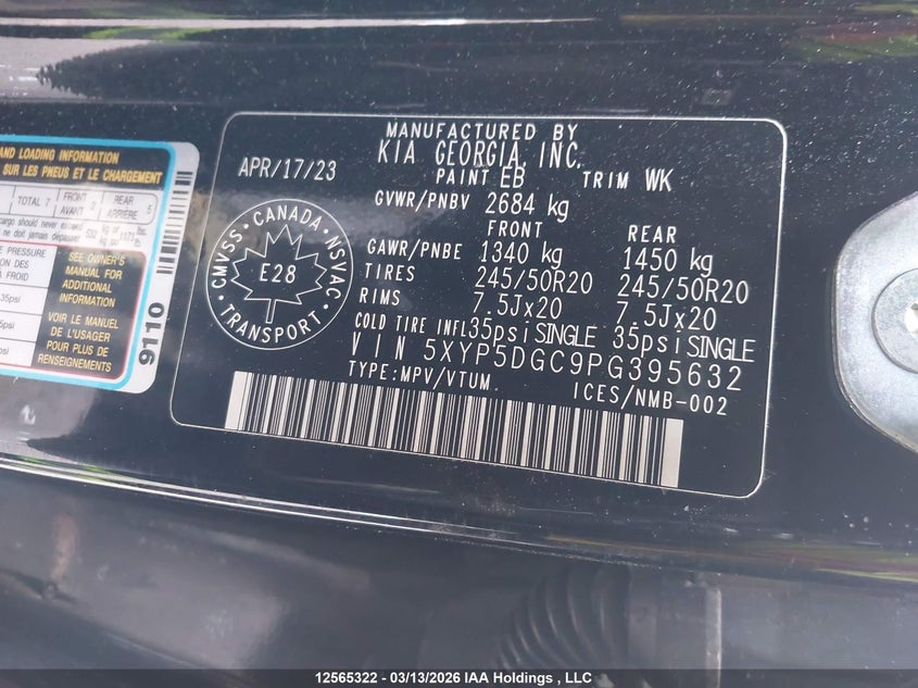 2023 Kia Telluride Sx/Sx Limited/X-Line/X-Pro VIN: 5XYP5DGC9PG395632 Lot: 12565322
