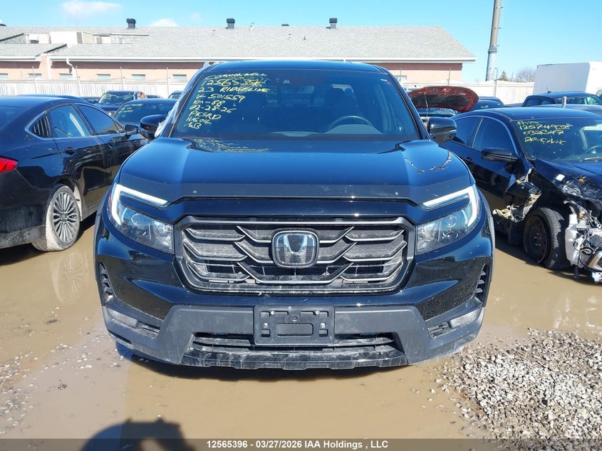 2023 Honda Ridgeline Black Edition VIN: 5FPYK3F85PB501559 Lot: 12565396