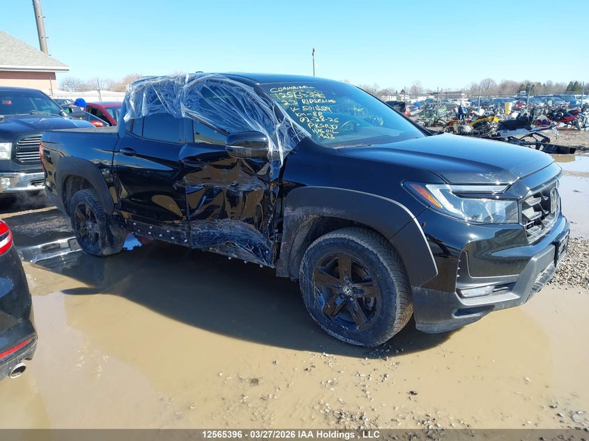 2023 Honda Ridgeline Black Edition VIN: 5FPYK3F85PB501559 Lot: 12565396