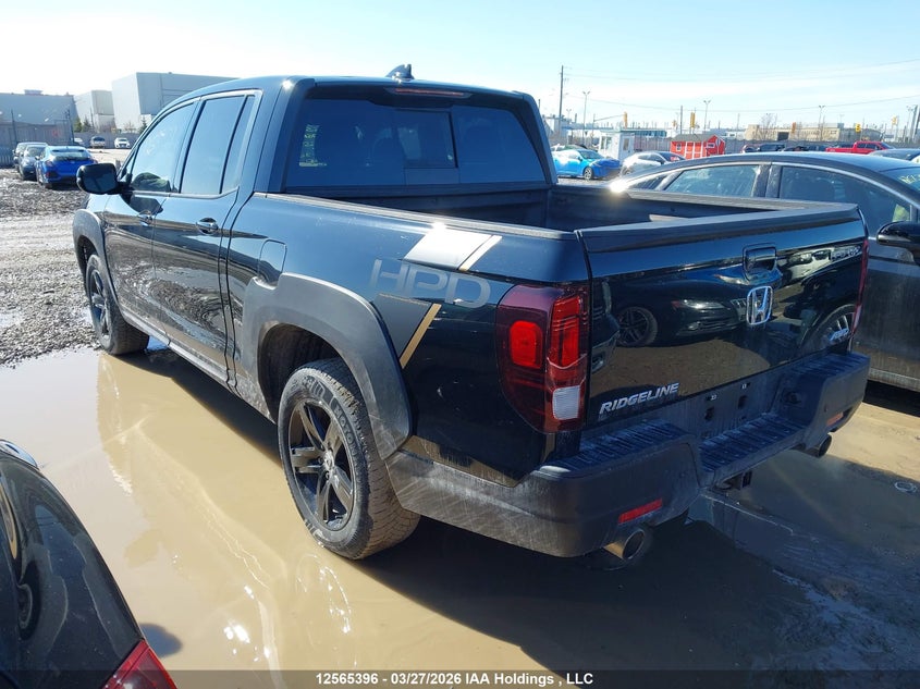 2023 Honda Ridgeline Black Edition VIN: 5FPYK3F85PB501559 Lot: 12565396