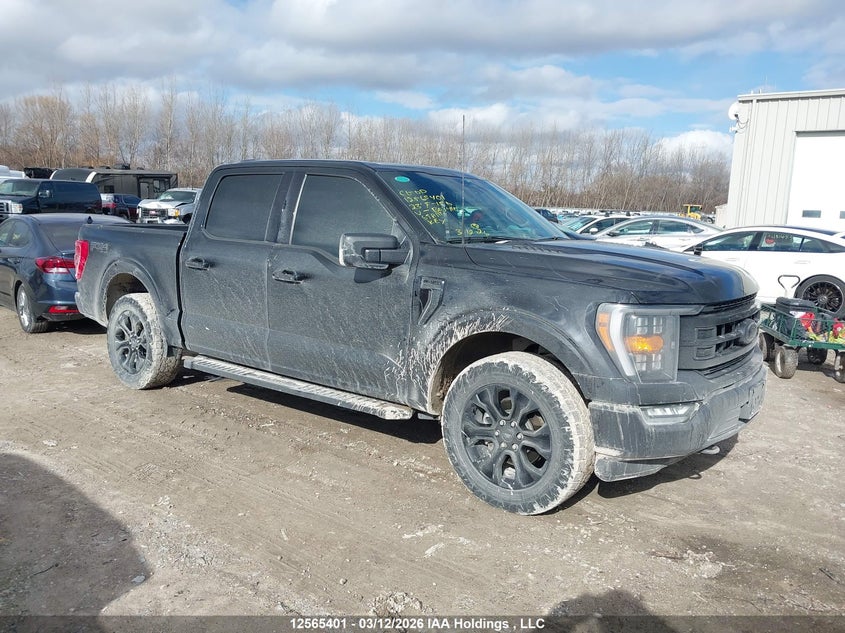 2023 FORD F-150 KING RANCH/LARIAT/PLATINUM/TREMOR/XL/XLT