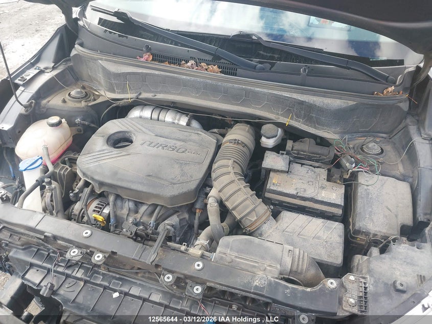 2021 Kia Seltos Sx VIN: KNDETCA2XM7174623 Lot: 12565644