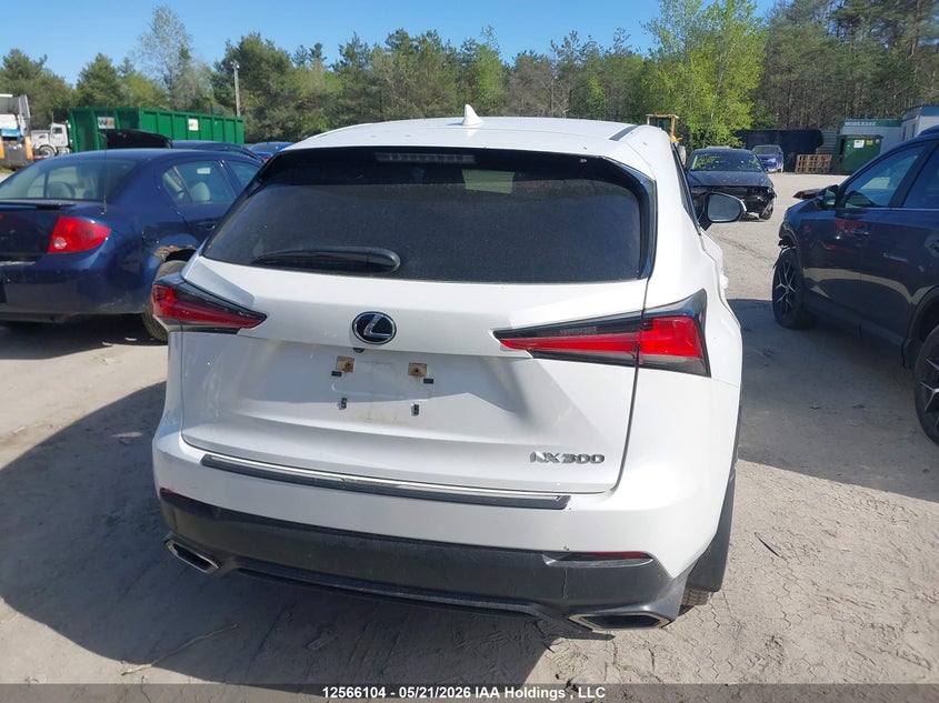 2020 Lexus Nx 300 Base/300 Luxury/300 F Sport VIN: JTJAARDZXL5004740 Lot: 12566104