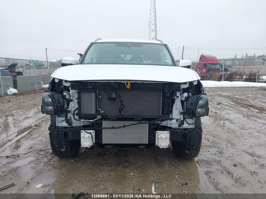 2026 Infiniti Qx80 Luxe VIN: JN8AZ3BEXT9720043 Lot: 12566691