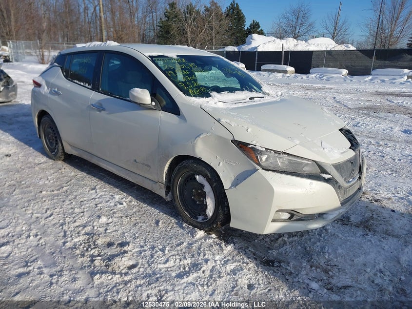 1N4AZ1CP3KC317061 2019 Nissan Leaf S/Sl/Sv auction photo 1