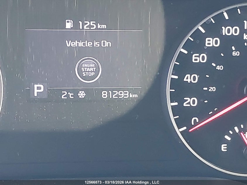 2022 Kia Seltos Ex VIN: KNDEUCAA5N7309142 Lot: 12566873