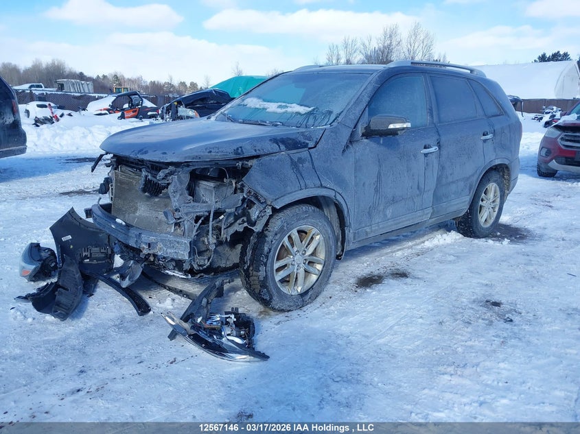 2015 Kia Sorento, Удар спереду, IAAI, VIN 5XYKT3A66FG572388 — фото 2