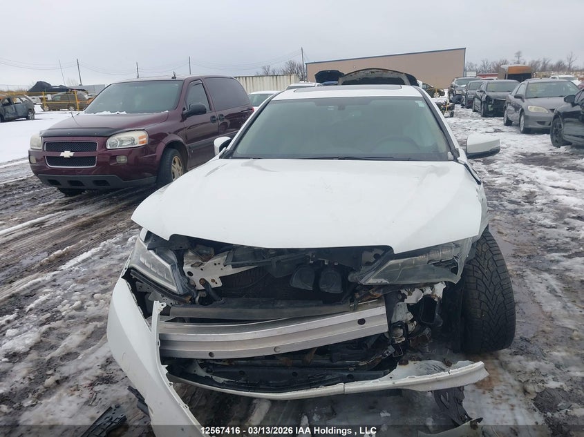 2015 Acura Tlx VIN: 19UUB3F38FA800256 Lot: 12567416