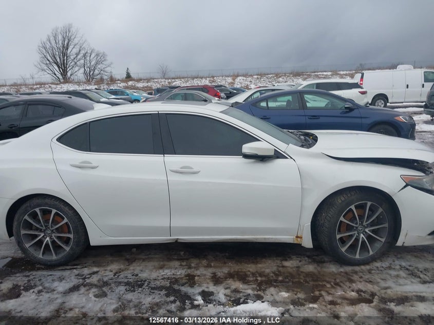 2015 Acura Tlx VIN: 19UUB3F38FA800256 Lot: 12567416