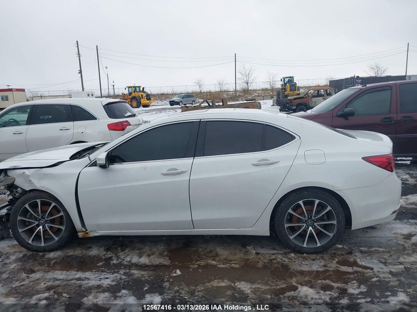 2015 Acura Tlx VIN: 19UUB3F38FA800256 Lot: 12567416