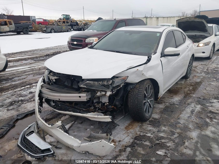 2015 Acura Tlx VIN: 19UUB3F38FA800256 Lot: 12567416