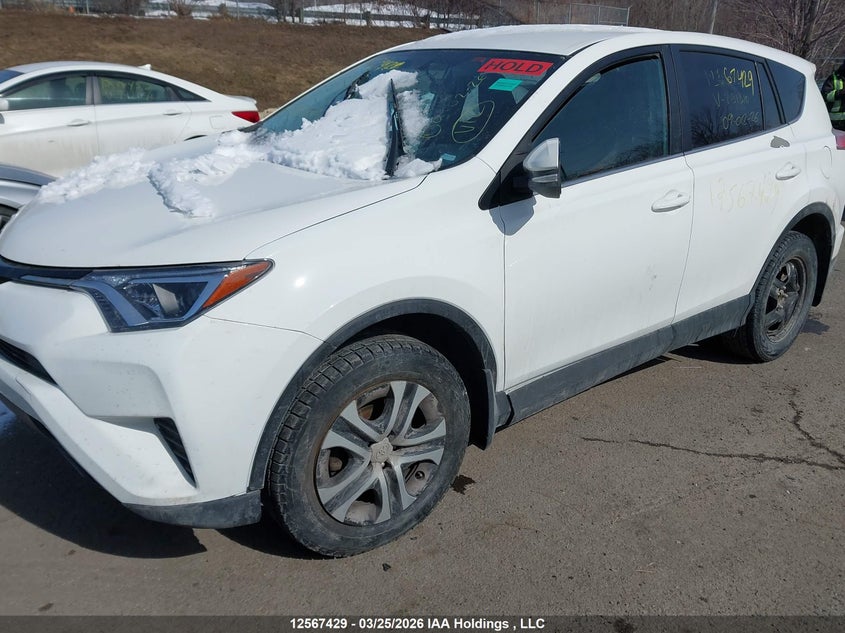 Vin: 2t3zfrev3gw291310, lot: 2961323, toyota rav4 20162