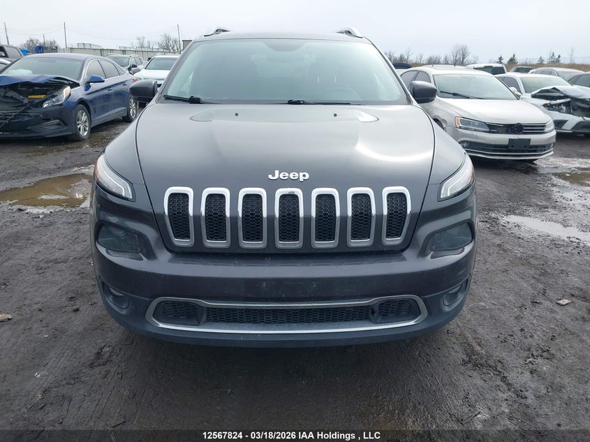 2016 Jeep Cherokee Limited VIN: 1C4PJMDS9GW146774 Lot: 12567824