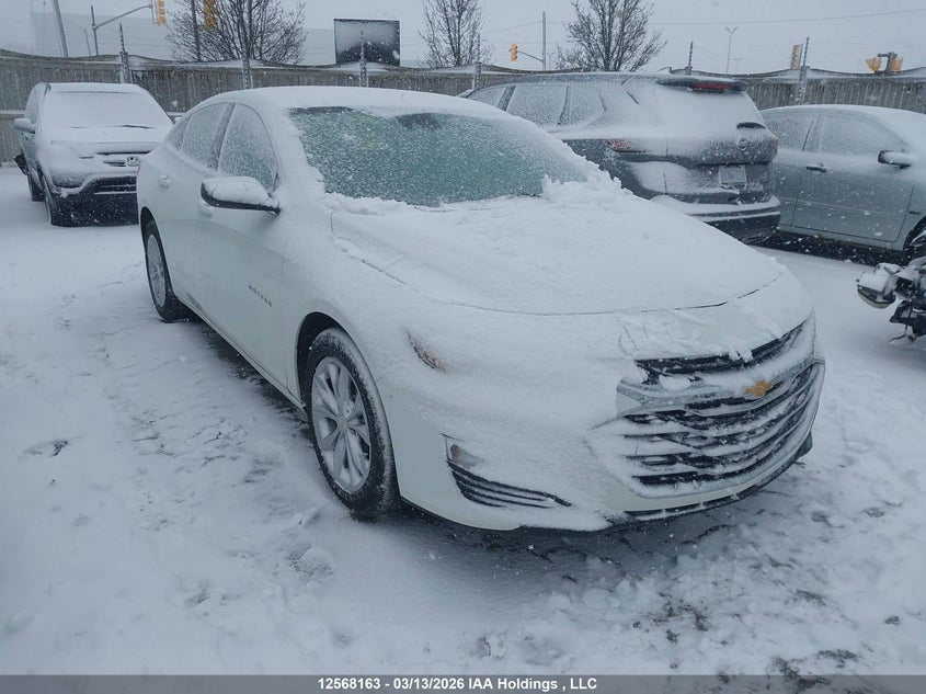 2023 CHEVROLET MALIBU LT