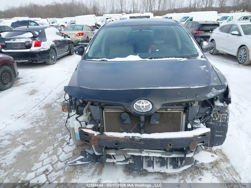 2009 Toyota Venza VIN: 4T3ZE11A99U003168 Lot: 12568654