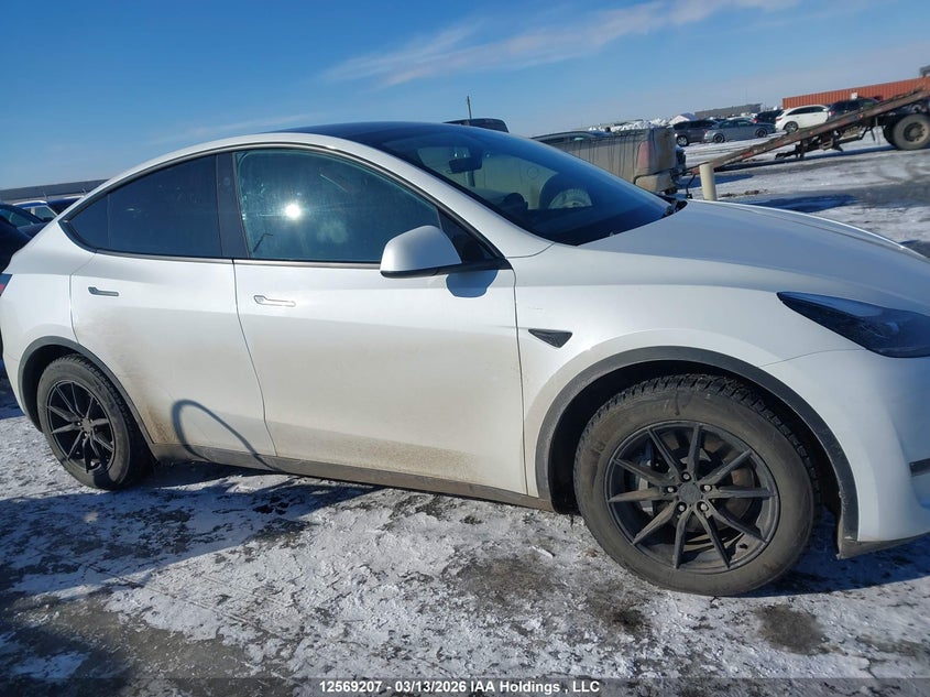 2024 Tesla Model Y VIN: 7SAYGAEE7RF074591 Lot: 12569207