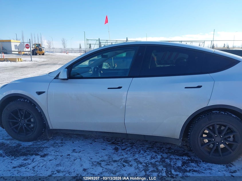 2024 Tesla Model Y VIN: 7SAYGAEE7RF074591 Lot: 12569207