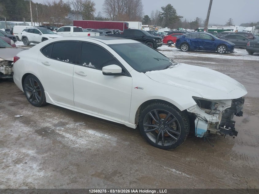2019 ACURA TLX TECH A-SPEC
