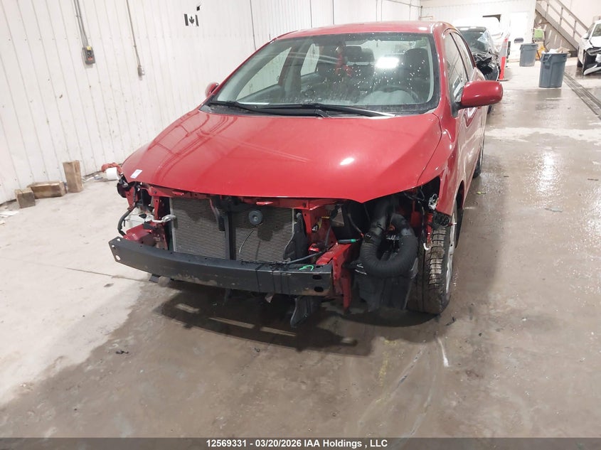 2010 Toyota Corolla S/Le/Xle VIN: 2T1BU4EE6AC269409 Lot: 12569331